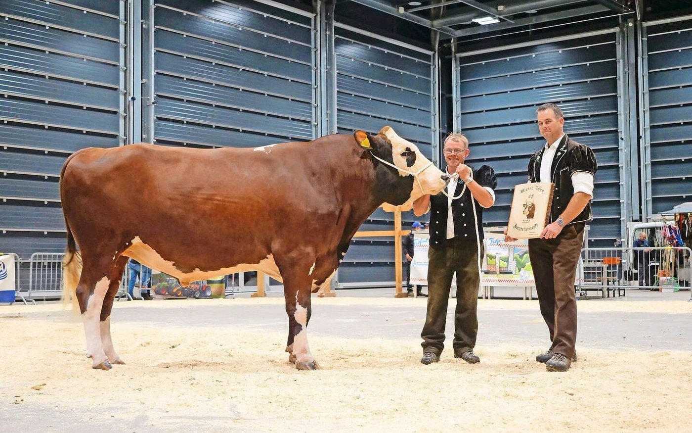 Mister Swiss Fleckvieh: Schwarzbach Madison Hannover (55 96), Hans-Jörg Schäfer, Bowil, und Simon Eichenberger, Arni.