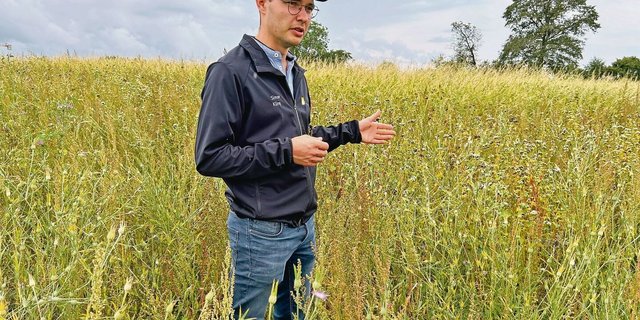 Simon Küng ist Bereichsleiter Biodiversität und steht in einer Buntbrache. Das sei der schwierigste BFF-Typ und darum für Einsteiger nicht unbedingt geeignet.