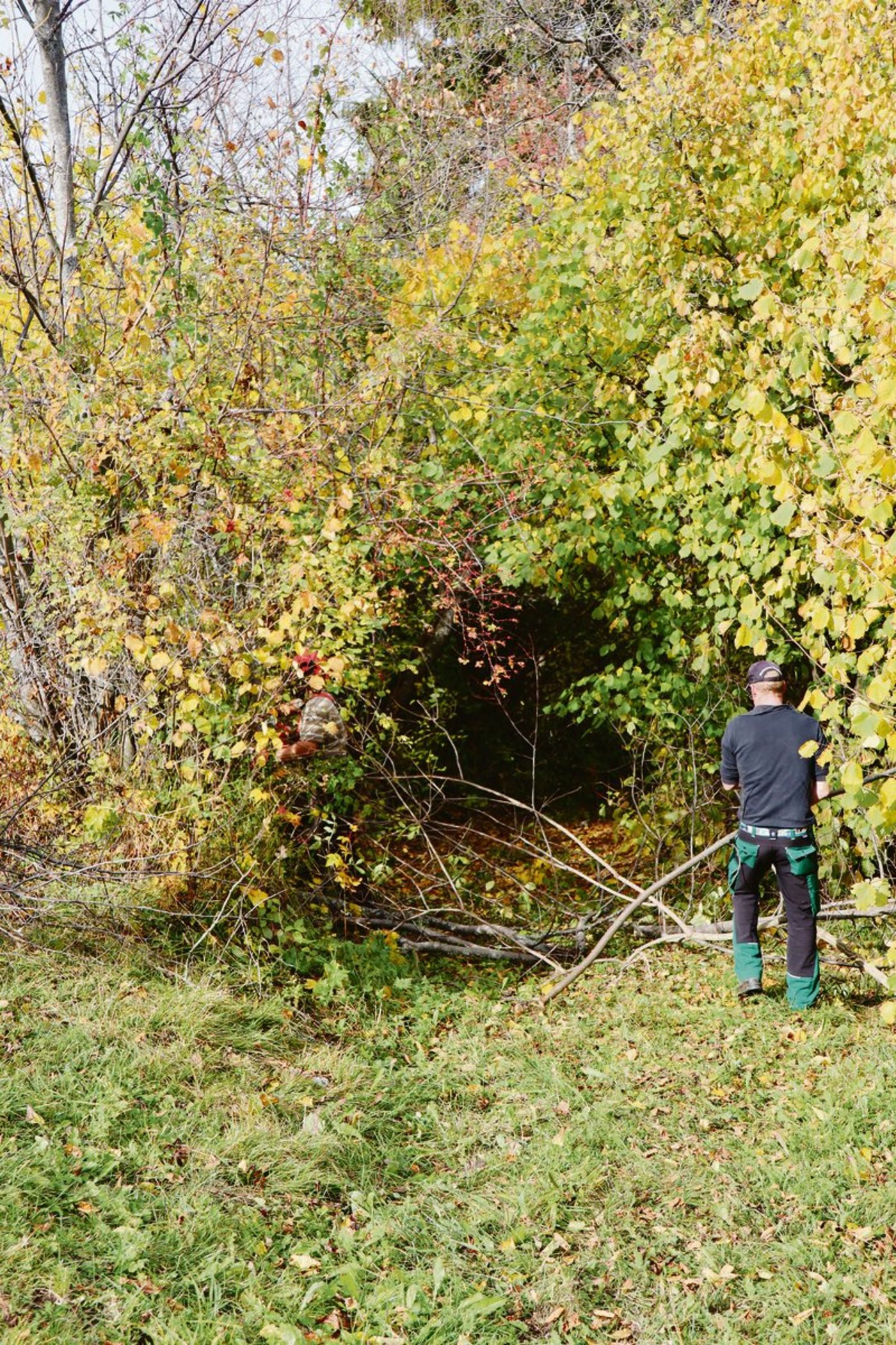 Bild links: Nach dem Schnitt der Hecke soll der Wiesenweg mit dem Transporter befahrbar sein. Mitte: Wenn die Säge nicht zuunterst angesetzt wird, bleibt Totholz stehen. Rechts: Christian Malär erklärt, worauf bei der Heckenpflege zu achten ist. (Bild Vrena Crameri-Daeppen)