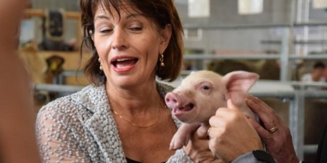 Auch dieses Jahr kam prominenter bundesrätlicher Besuch an die Olma: Doris Leuthard posiert mit dem obligaten Säuli. (Bild Jasmine Baumann)
