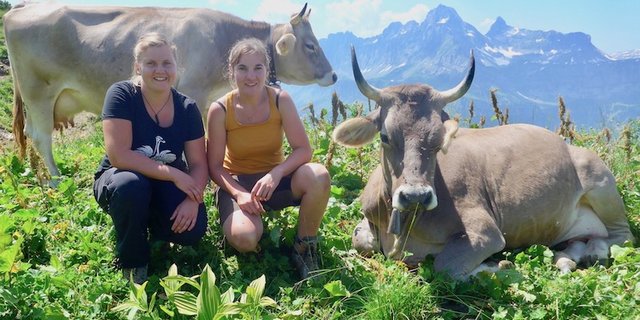 Schwestern mit Aussicht: Debora (l.) und Alexandra Huber auf dem Saasberg, der obersten Staffel der Alp Bodmen. Hier melkt Debora 29 Kühe, Alexandra arbeitet derweil im Ortstockhaus oberhalb von Braunwald. Den Ortstock sieht man im Hintergrund. (Bilder akr)