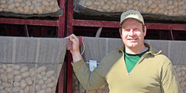 In schmalen Säcken keimen die Pflanzkartoffeln vor dem Setzen. «Die Frites für die WM 2034 müssten wir jetzt zu vermehren anfangen», verdeutlicht Thomas Ritz den Zeitbedarf der Pflanzgut-Produktion.