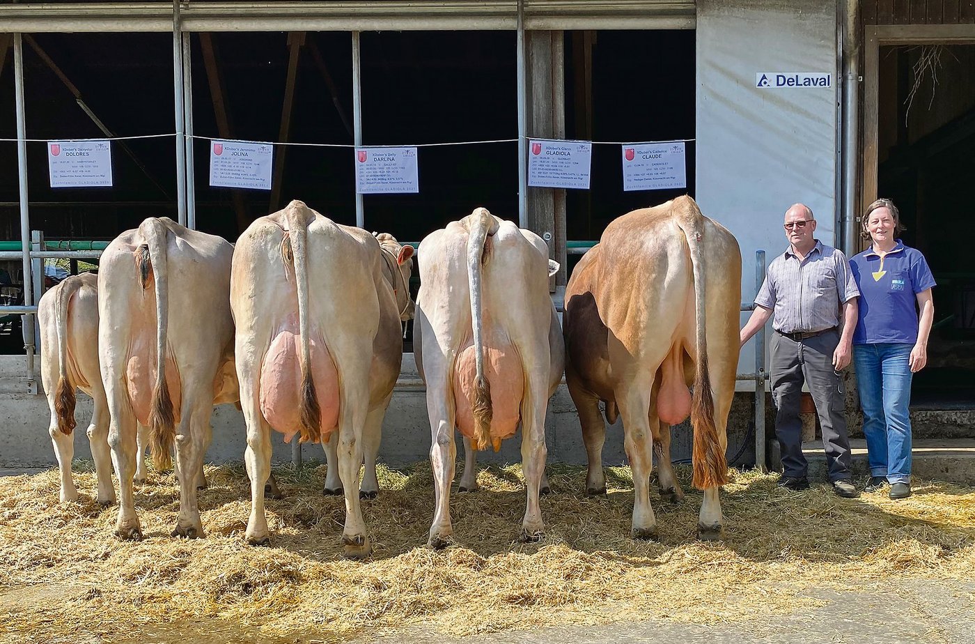 Xaver Dober erzielte mit den Nachkommen von Glenn Gladiola ausgezeichnete 91 Punkte und damit das kantonal beste Ergebnis.  (Bild Braunvieh Schweiz)