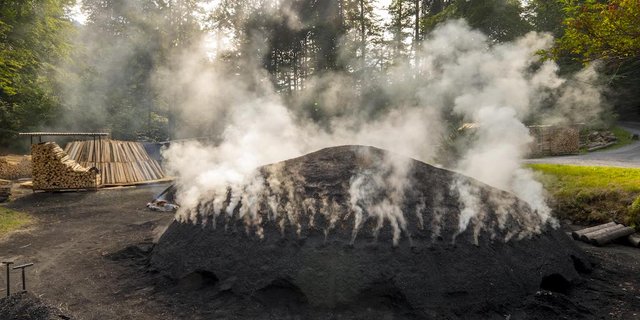 Im Rahmen des Jahresmottos soll unter anderem geköhlert werden. (Bild Ballenberg)