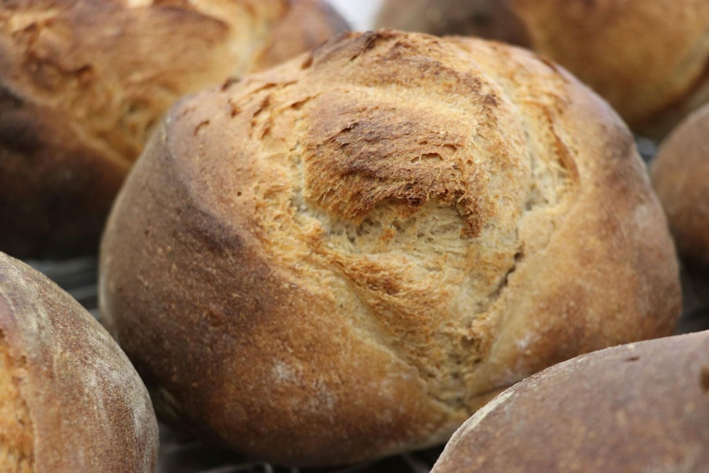 Ein perfektes Holzofenbrot: Dank Notizen lässt sich ein gelungenes Resultat wiederholen.