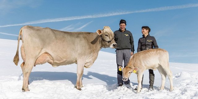 Verena und Hansueli Lanker mit Pinia und ihrem jüngsten Nachwuchs, einem Adee-Zuchtkalb, geboren Ende Dezember 2023.