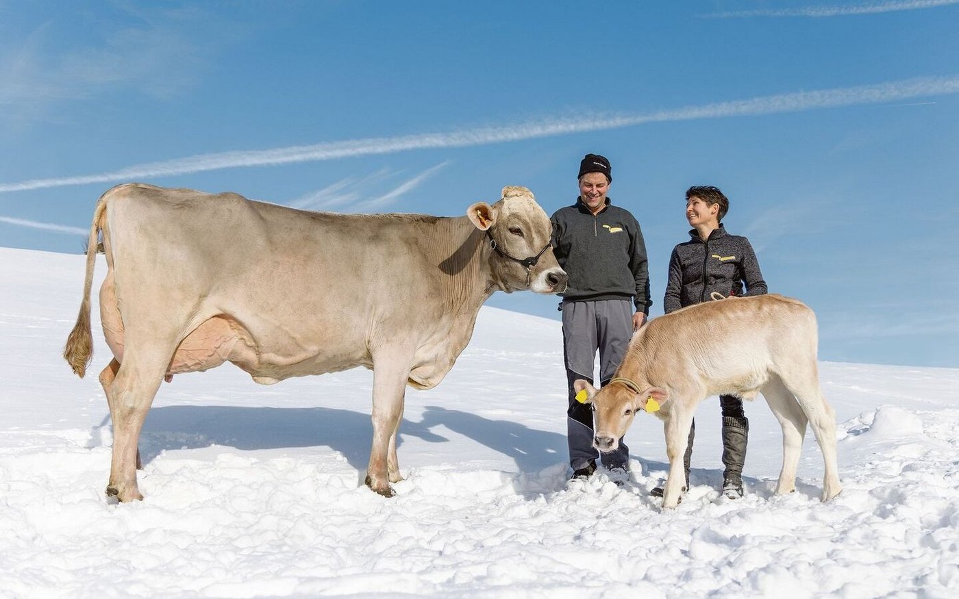 Verena und Hansueli Lanker mit Pinia und ihrem jüngsten Nachwuchs, einem Adee-Zuchtkalb, geboren Ende Dezember 2023.