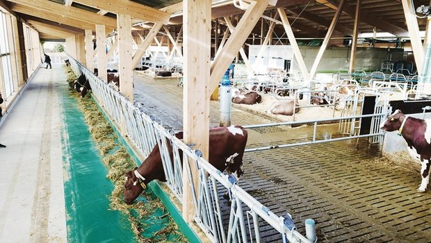 Am Wochenende vom 4. und 5. Mai kann man den neuen Stall bestaunen. (Bild zVg)