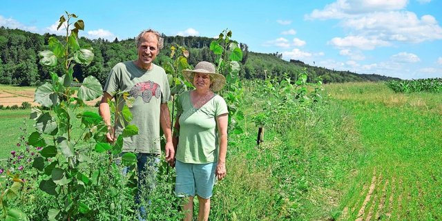 Die Solothurner hoffen, ihre Ernten dank der Bewirtschaftung entlang der Höhenlinien in nassen wie in trockenen Jahren sichern zu können.