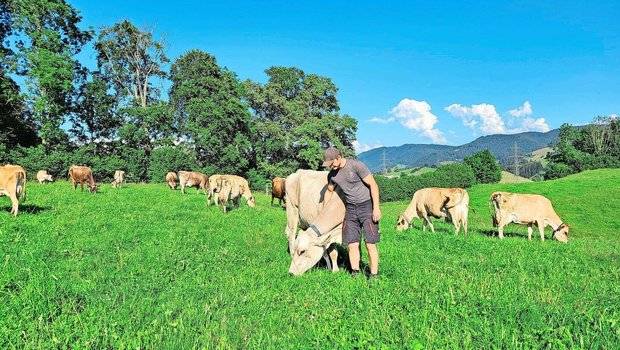 Landwirt Johannes Röllin mit seiner Lieblingskuh Annabell auf der Weide. Hier fühlt sich die Braunviehkuh am wohlsten.  
