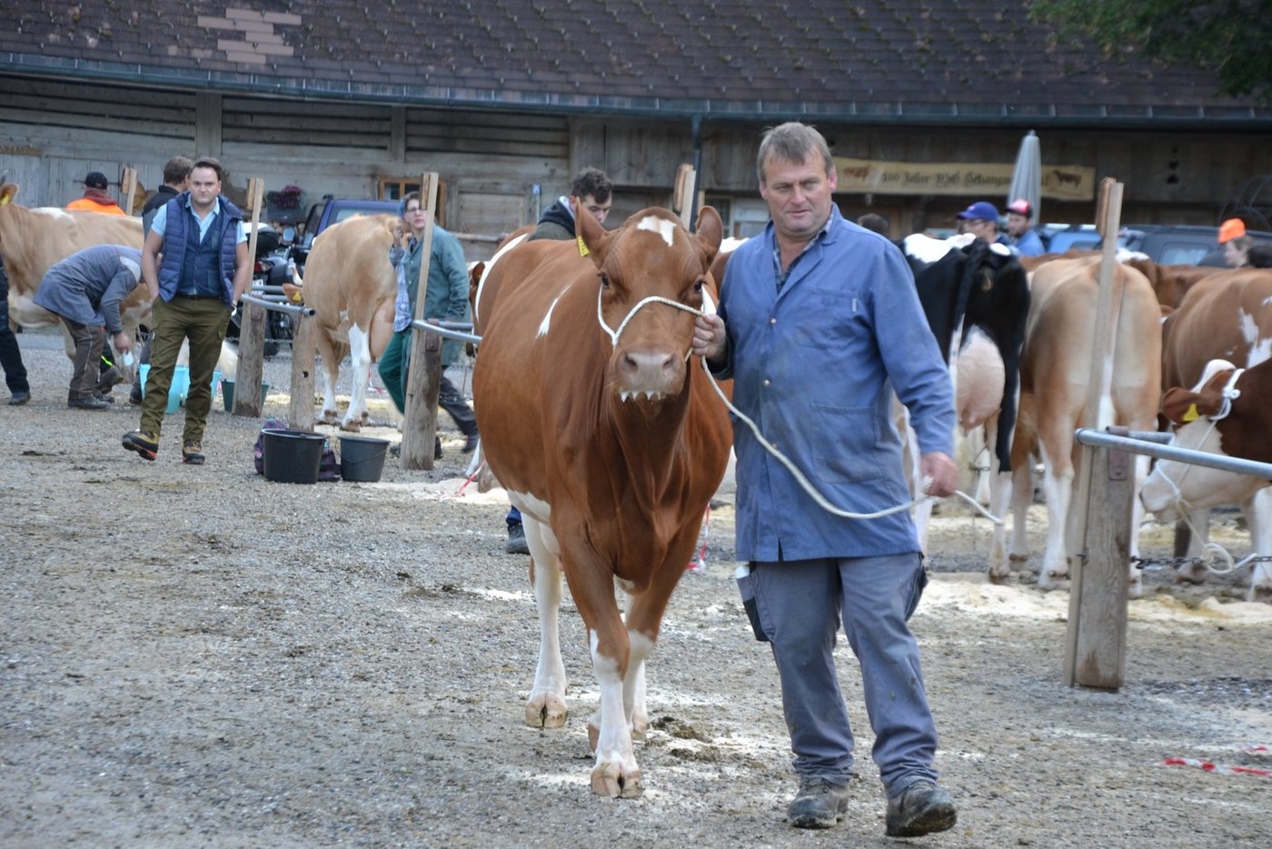 Fritz Bürki an der Viehschau im Kemmeribodenbad. (Bild Peter Fankhauser)