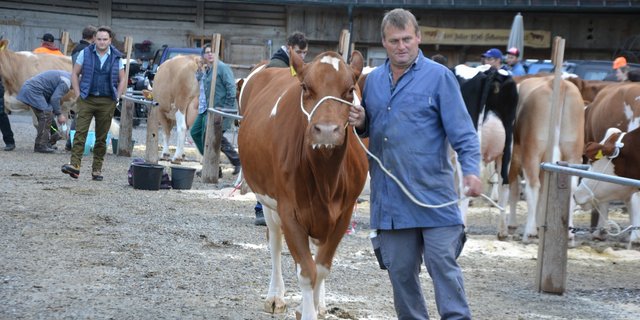 Fritz Bürki an der Viehschau im Kemmeribodenbad. (Bild Peter Fankhauser)