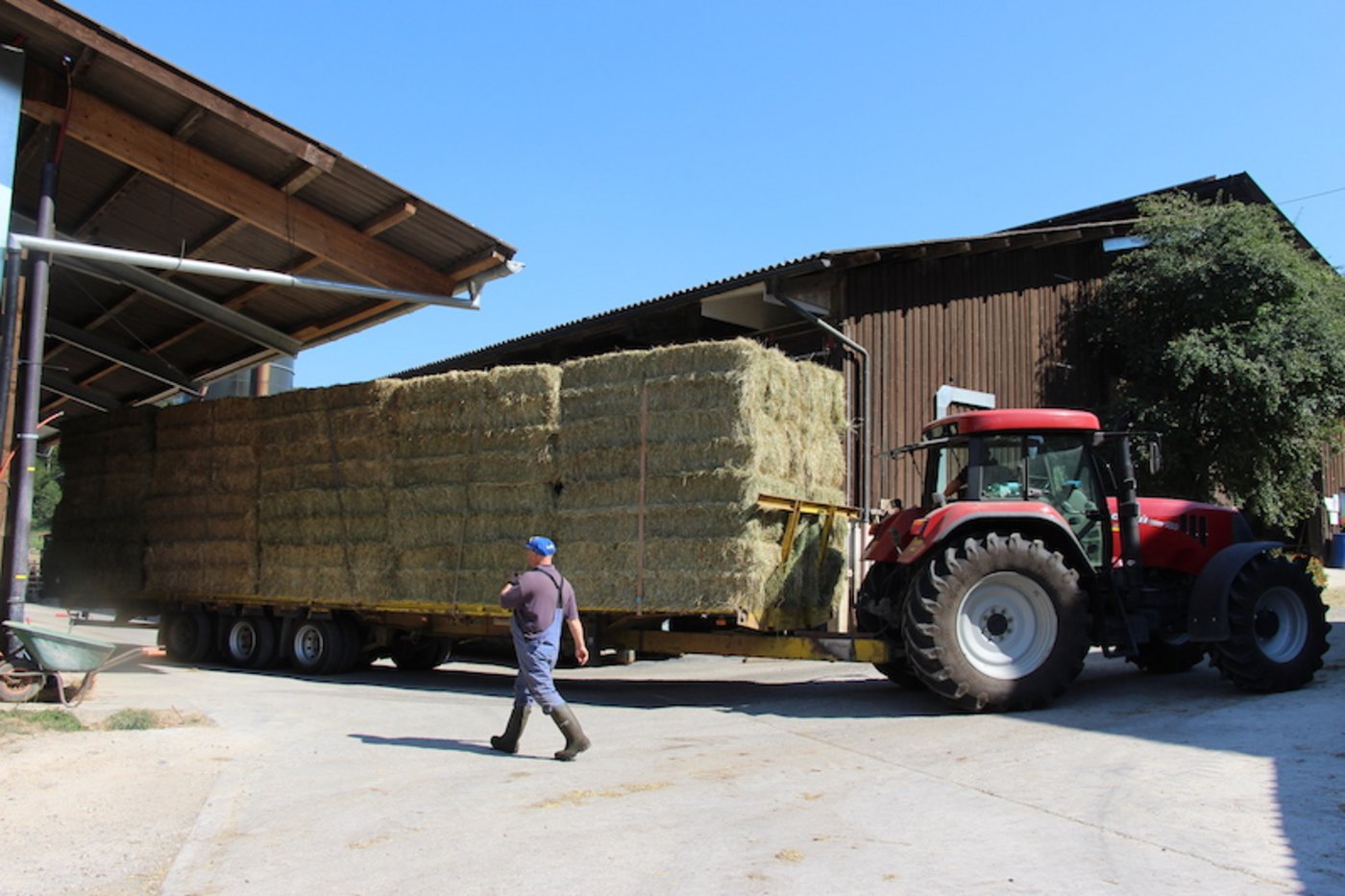 Nur wenige kaufen jetzt Heu. Der Grund ist, dass die Heustöcke gefüllt sind. (Bild rü)
