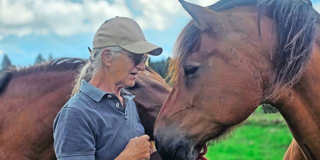 Heidi Gurtner und eine ihrer Urfreiberger-Stuten. Sie haben im Neuenburger Jura ihre Heimat gefunden. Der Erhalt des ursprünglichen Schweizer Kulturguts liegt der Frau am Herzen. 