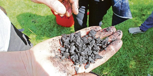 Futterkohle unterscheidet sich inhaltlich und auch optisch deutlich von der besser bekannten Grillkohle.(Bild zVg)