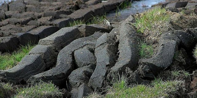 Bei Torf handelt es sich um trockengelegte Moorerde. Dessen Abbau schadet dem Klima und der Artenvielfalt. In der Schweiz darf seit 1987 kein Torf mehr abgebaut werden. (Bild Pixabay/PublicDomainImages)