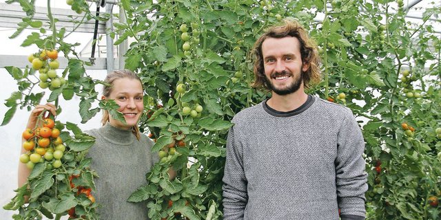 Vera und Samuel Kessens vom Brüederhof in Dällikon vertreiben Bio-Gemüse im Abo. Mit dem Lockdown wurden sie von der Nachfrage nach ihren Gemüseabos überrumpelt.(Bild Hans Rüssli)