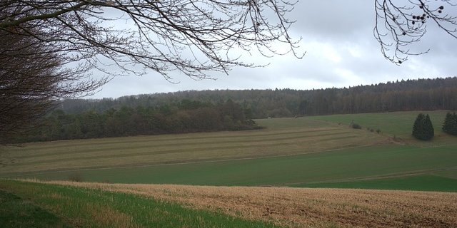 "Der Kulturlandverlust macht uns allen Sorgen", sagte Umweltministerin Simonetta Sommaruga. (Bild Pixabay)