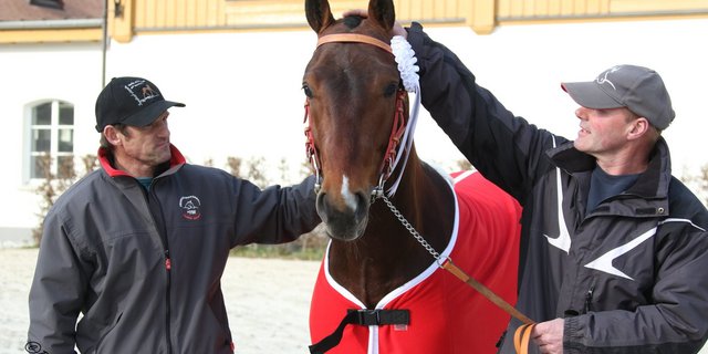 Nax hat alle hinter sich gelassen. Er gewinnt den Stationstest der Freibergerhengste. Neben Nax stehen Pierre-André und Dominique Odiet. (Bild Bernadette Odiet) 