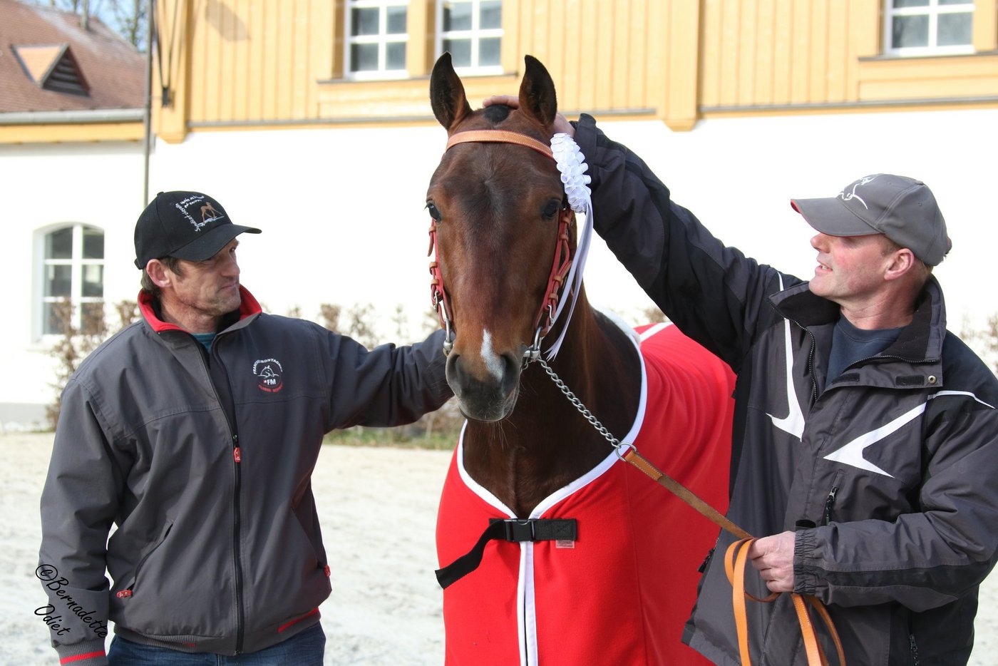 Nax hat alle hinter sich gelassen. Er gewinnt den Stationstest der Freibergerhengste. Neben Nax stehen Pierre-André und Dominique Odiet. (Bild Bernadette Odiet) 