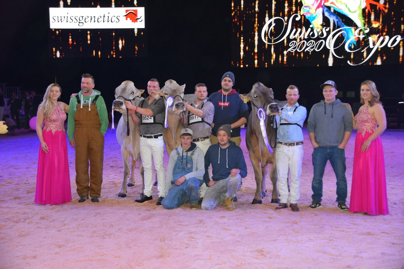 Die Championwahl (v. r. n. l.): Plattenbach BS Glenny Gina von Peter und Fabian Betschard und Plattenbachs Cows aus Muotathal SZ; Reserve wurde Alino Blena von Tom und Noe Salzgeber aus Pany GR. Mention Honorable wurde Jongleur Wendy von der WTS-Genetics aus Menznau LU. (Bilder Peter Fankhauser)