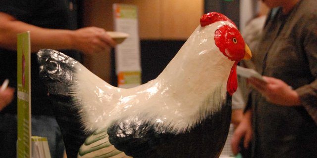 KAG-Freiland möchte die Junghahnmast fördern, solange das Eier-Sexing noch nicht Praxisreif ist. (Bild: hja)