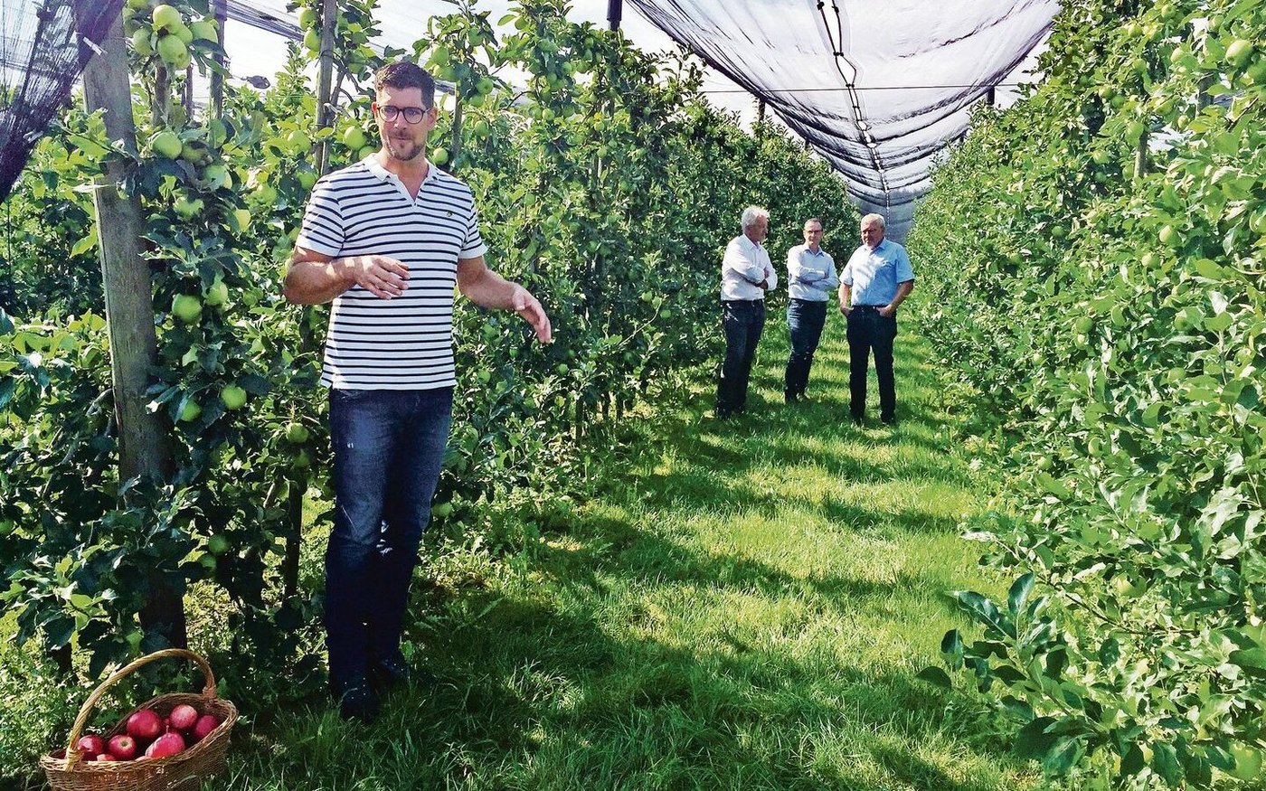 Ralph Gilg (vorne), Jürg Hess, Präsident Obstverband; Benno Neff, Tobi Seeobst AG; und Lorenz Kreis, Migros (v. l.).