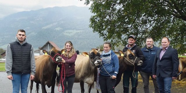 Die herrlichen Jersey-Sieger-Tiere mit den Besitzern, Experten und Ringman.