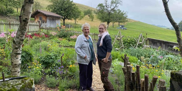 Seit dem Frühling 2021 arbeiten Marie Gerber und Anina Marbot zusammen im alten Bauerngarten. Im Frühling hat Marbot den kränkelnden Buchs durch Lavendel ersetzt. (Bilder jsc)