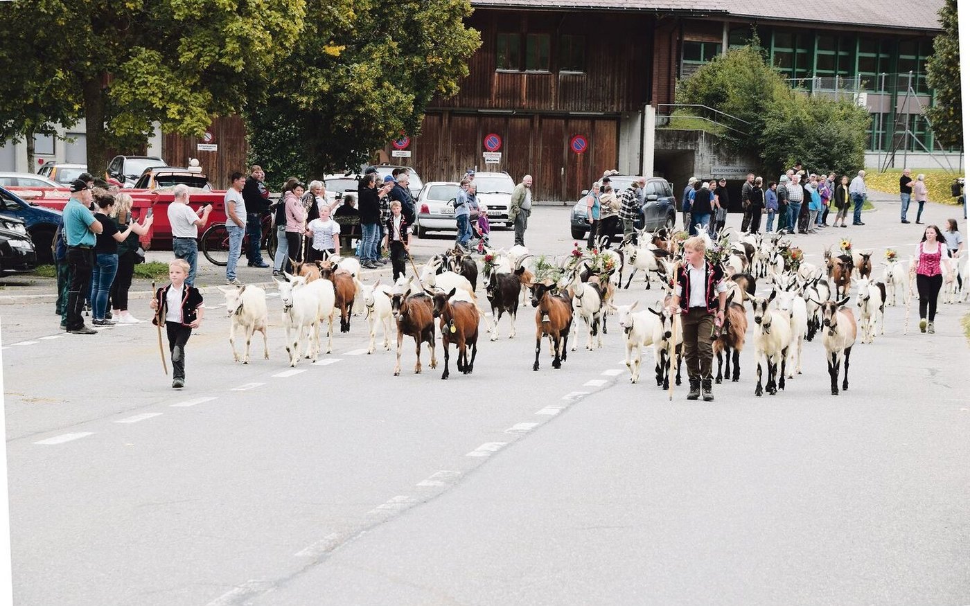 Von der Alp Bire laufen die Ziegen vornweg: Unglaublich, welches Tempo sie vorlegen. Hier in Riffenmatt haben die Tiere schon einige Kilometer zurückgelegt.