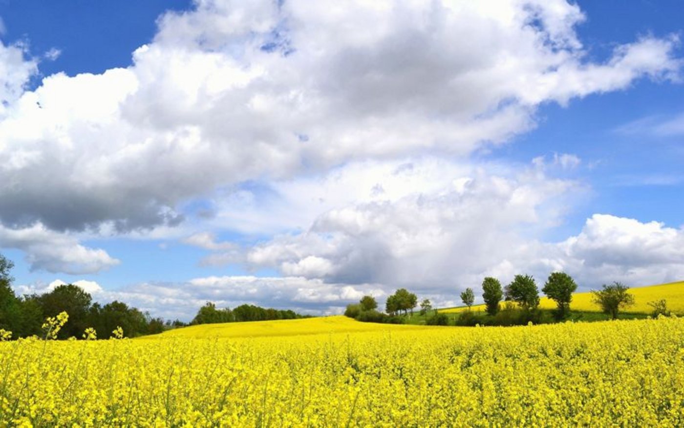 Den Besonderheiten der Landwirtschaft soll Rechnung getragen werden. (Bild: pixelio)