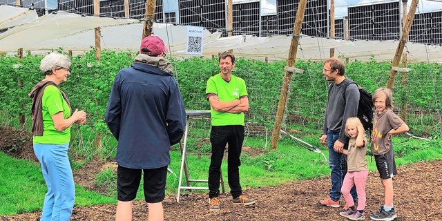 Die PV-Anlage über Himbeeren bei Heinz Schmid in Aesch (m.) anlässlich eines Tages der offenen Tür. 