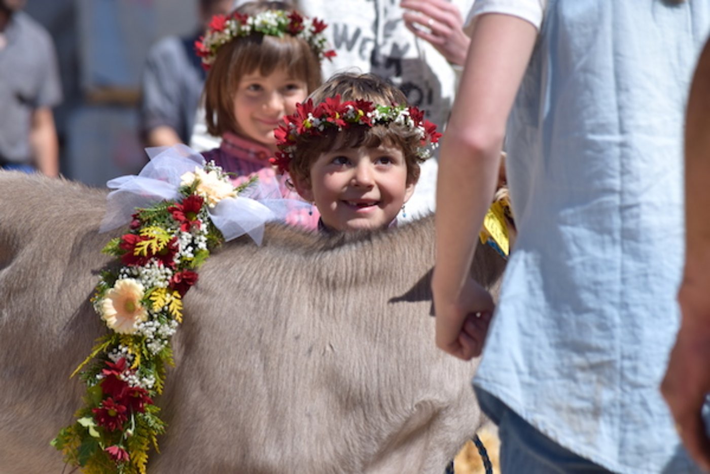 Blumendekoration aus dem eigenen Garten: Bei der Alpabfahrt sind nicht nur die Tiere, sondern auch die Mädchen geschmückt. (Bild Daniela Joder)