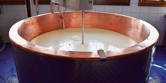 Mit dem Verfüttern der Schotte, welche in der Käserei anfällt, sinkt der Wasserverbrauch der Mastrinder deutlich.