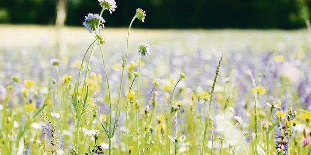 Mit dem Boden soll schonend umgegangen werden. (Symbolbild rae) 