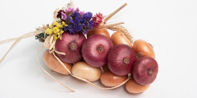 Je nach Grösse kosten die Zibelezöpfe zwischen 7 und 70 Franken. (Bild Gemüse Erzeuger Seeland)