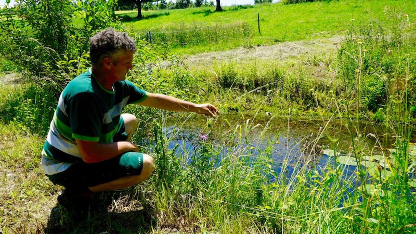 Für den Zürcher Landwirt Hans Nef ist es selbstverständlich, dass er sich für die Erhaltung der Biodiversität engagiert. (Bilder lid/cr)
