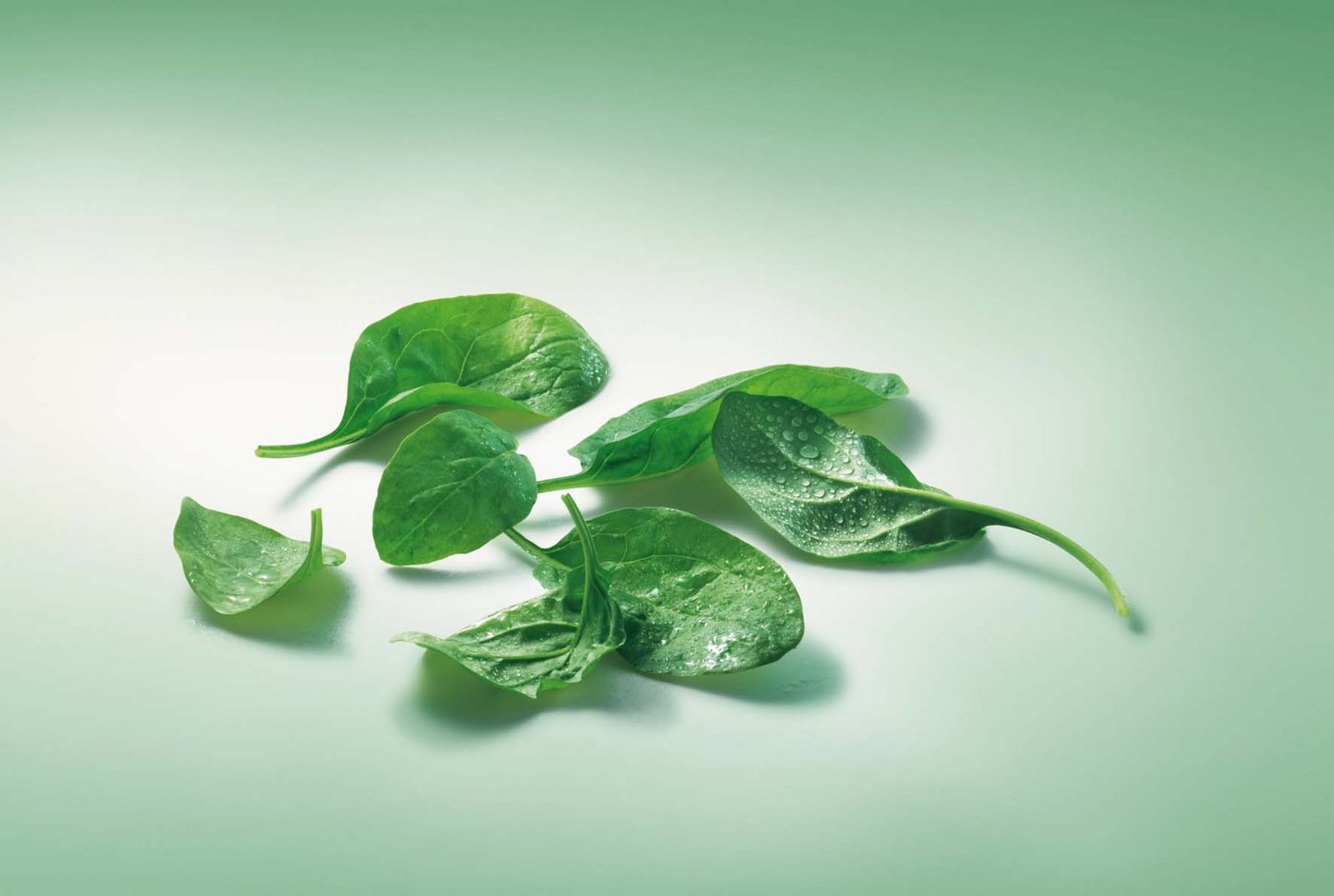 Spinat landet meist nicht frisch, sondern tiefgefroren im Laden. (Bild VSGP)