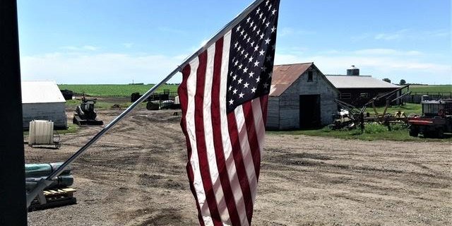  In den USA hat sich die Lage am Fleischmarkt zugespitzt. (Bild mr) 