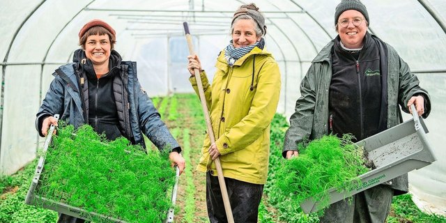 Demnächst wird der erste Fenchel angepflanzt: Anja Ineichen, Jenny Bolliger und Sarah Peter (v. l.) in einem der beiden Folientunnels. 