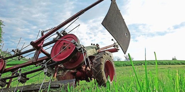 Verschiedene Systeme können bei der Milch erfolgreich sein. Die grössten Unterschiede gibt es bei der Position Maschinenkosten.