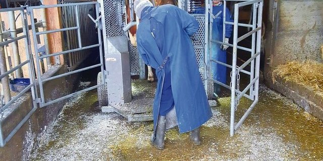 Denise und Elias von Allmen sind ein eingespieltes Duo und erledigen ihren Job speditiv.