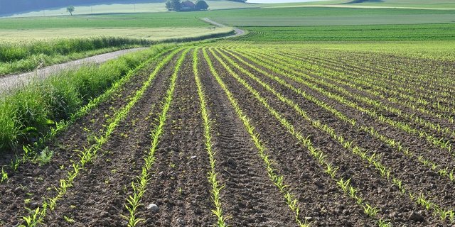 Zahlreiche Vertreter des Bereichs haben namentlich im Rahmen von Workshops an der Ausarbeitung der Strategie mitgewirkt. (Bild P. Aeby / Grangeneuve)