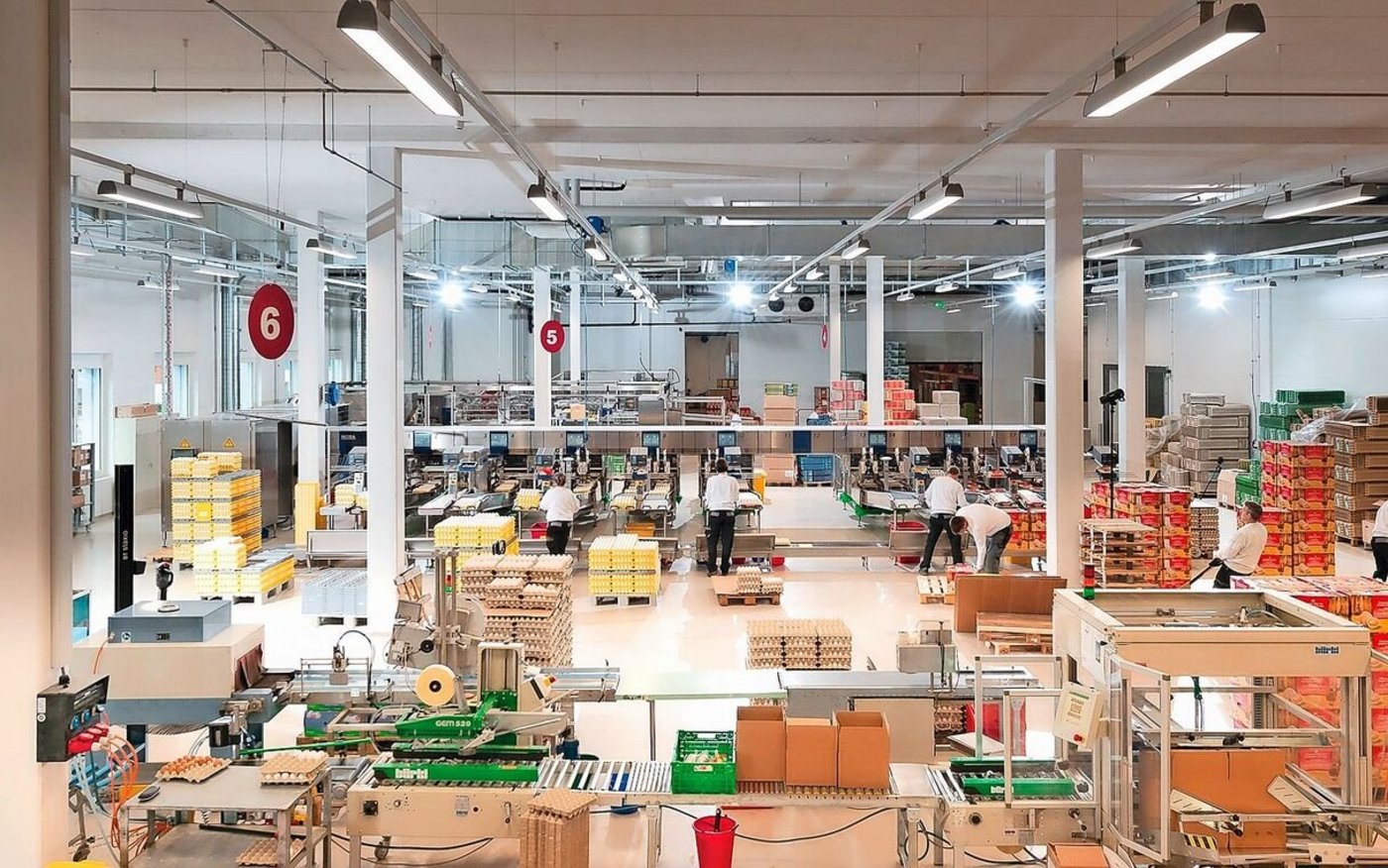 Die F&F SA/AG verarbeitet im luzernischen Schötz jährlich weit über 130 Mio Eier von über 60 Legehennen-Betrieben. Grosse Abnehmer sind Aldi und Lidl.