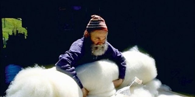 Jährlich betragen die Bundesausgaben zugunsten der Schafwollverwertung 800'000 Franken. (Bild ProWolle)