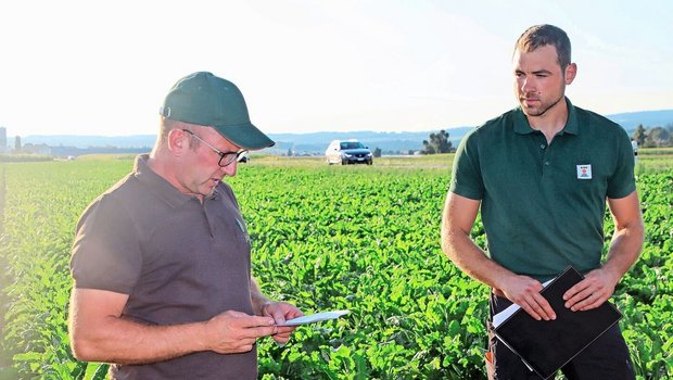 Gastgeber Harald Jöhr (l.) und Fabian Roth von der KWS Suisse SA führten durch die Zuckerrübenkulturen.	