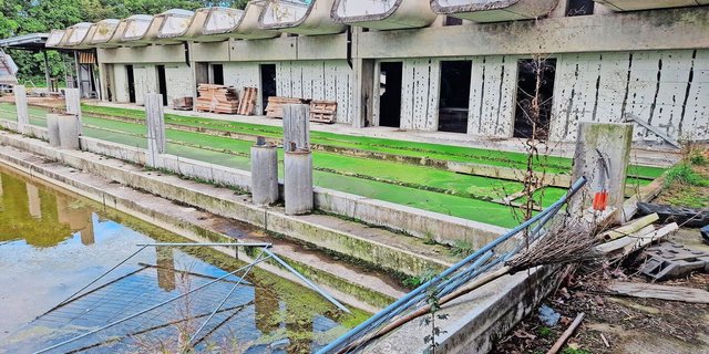 Kein schöner Anblick: Das Gebäude, in dem Geigy an Tieren forschte, fällt zusammen – was wird aus dem verlassenen Industriestandort?