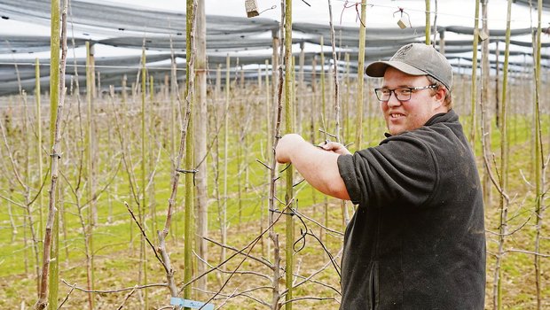 Beat Steckeisen bereitet die Obstanlage vor. Er ist im 1. Lehrjahr auf dem Betrieb von Vinz Bütler in Wädenswil ZH. (Bild zVg)