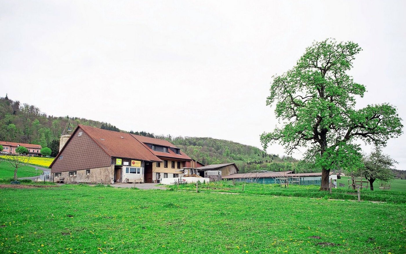 Der biologisch bewirtschaftete Hof Lutertätsch liegt etwas oberhalb von Oftringen, die Weiden sowie der Gemüseacker sind arrondiert. 