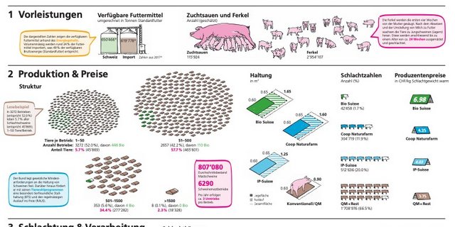 Die Infographik führt durch die vier Stufen Vorleistung, Produktion & Preise, Schlachtung & Verarbeitung sowie Detailhandel und Gastro-Grosshandel. (Bild Ausschnitt Infographik BLW) 